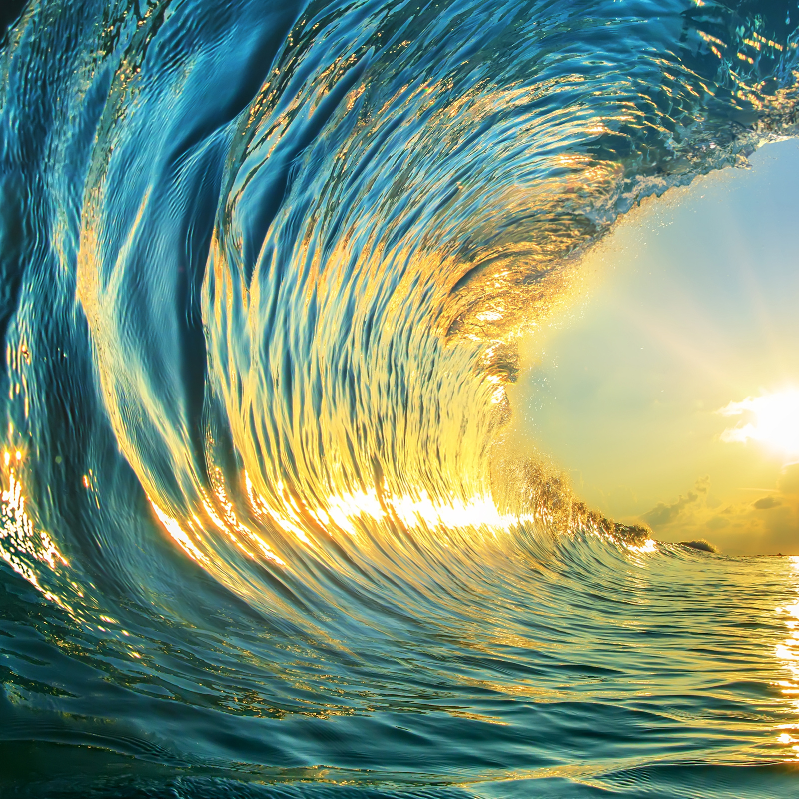 长春屹高金属表面技术有限公司