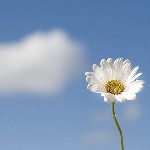 武汉中尧百一网络科技有限公司