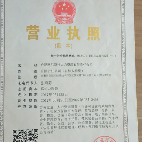 合肥欧尼斯特人力资源有限责任公司