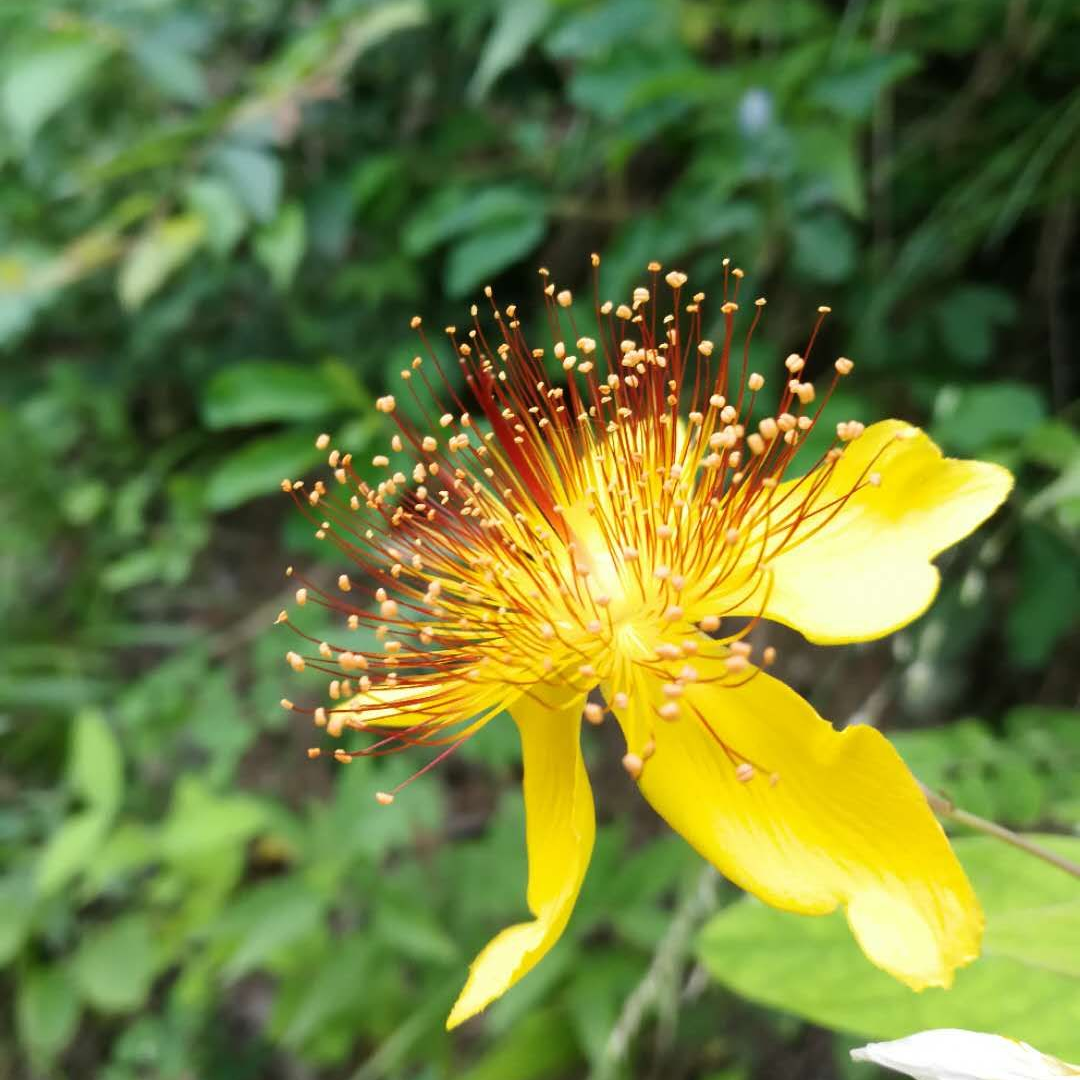 西安君润环保科技工程有限公司