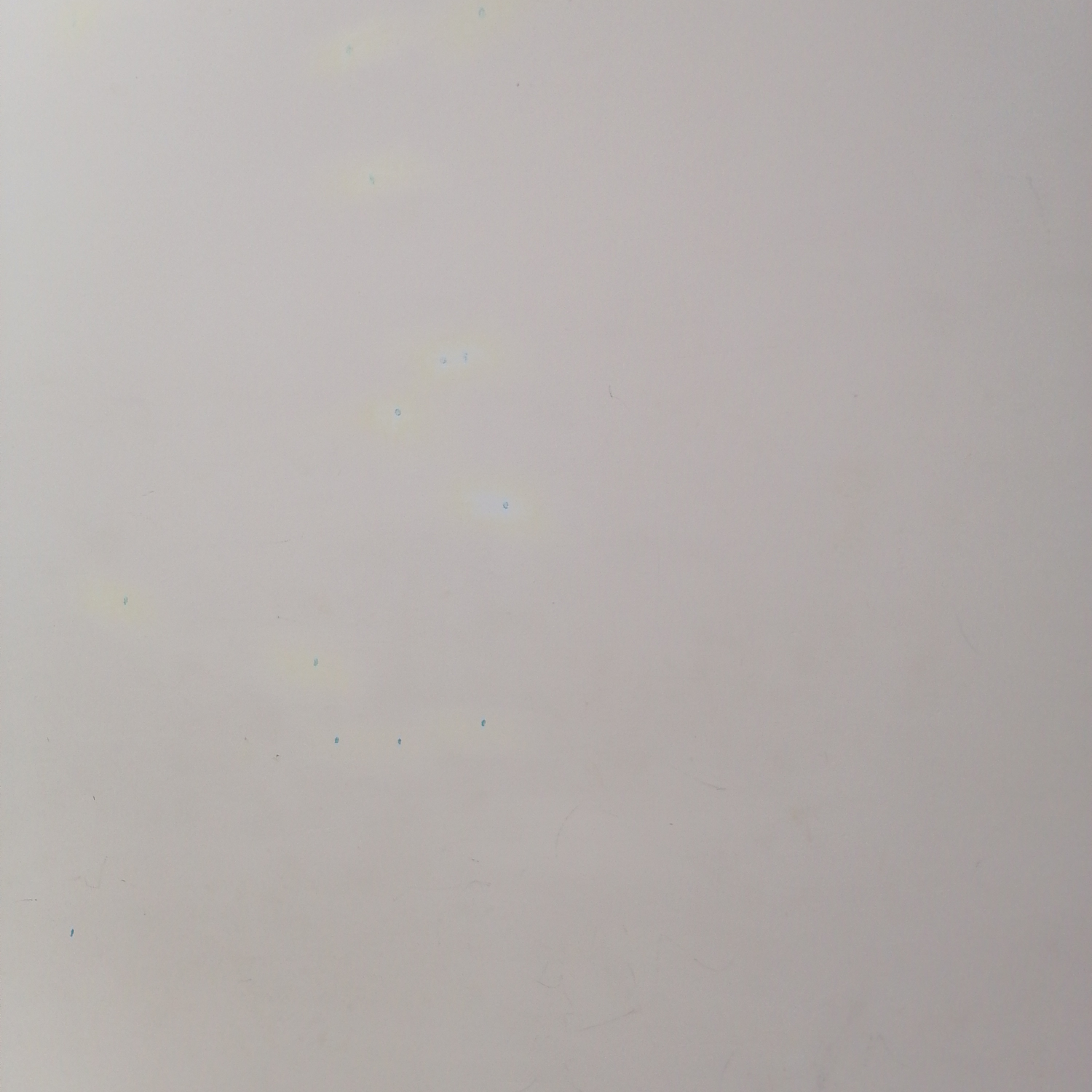 威海国际会展有限公司