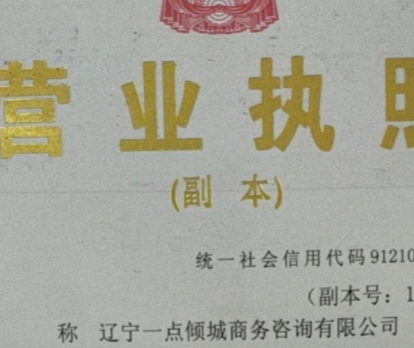 辽宁一点倾城商务咨询有限公司