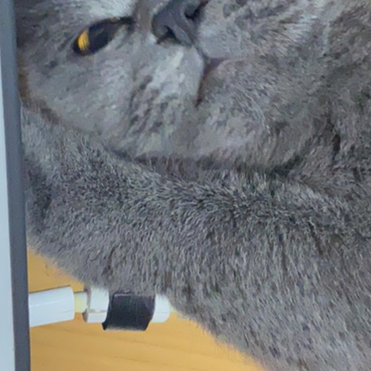 中国平安人寿保险股份有限公司宁波分公司群飞部